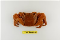 藏品(白紋方蟹)的圖片